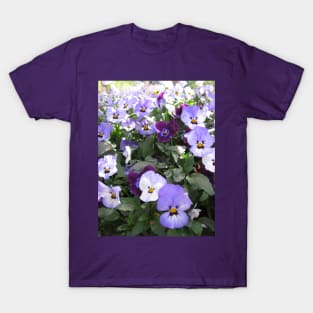 Tulip Time in Canberra Australia 6 T-Shirt